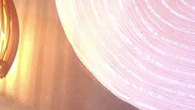 lissa palmer online show from 11-30-25, 03:10