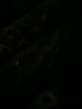 leonard  123 online show from 02-06-25, 10:10