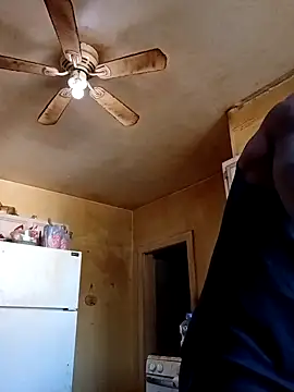 birdg online show from 11-12-25, 06:41