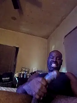 birdg online show from 11-13-25, 06:18