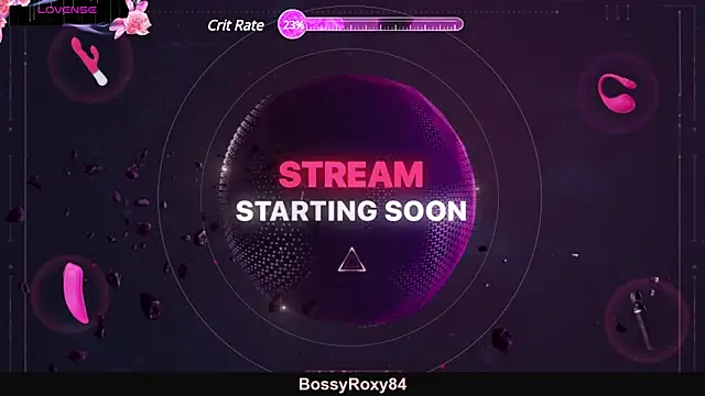 bossyroxy84 online show from 02-28-25, 02:31