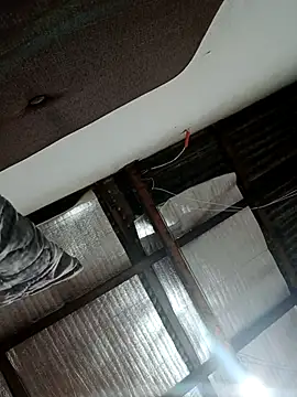 alansex 19 online show from 10-25-25, 01:57