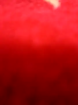 alansex 19 online show from 08-03-26, 01:48