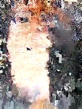 Snapshot of erinadarling79 chatting on 09-25-25, 10:02 erinadarling79 online show from 09-25-25, 10:02