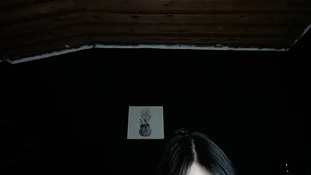 fyreandfox  online show from 11-24-25, 08:30