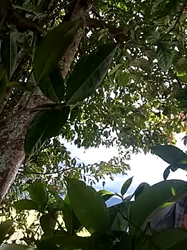 Mycansonhot online show from 04-11-26, 07:18