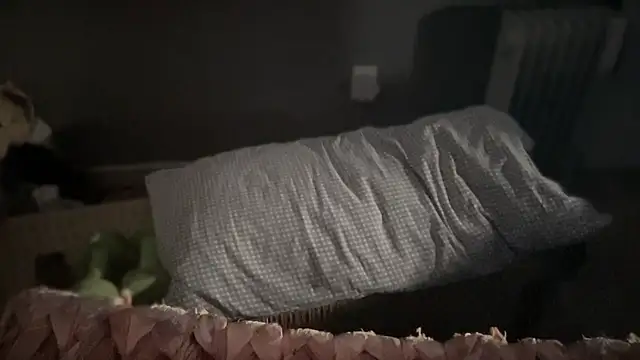 DominantDong online show from 03-09-25, 11:56