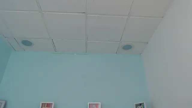 Sunshine gh1 online show from 05-25-26, 11:27