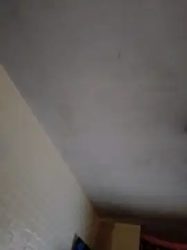 JairElGrillo online show from 11-11-25, 10:10