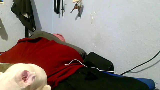 Snapshot of PornStro921 chatting on 05-03-26, 04:02 PornStro921 online show from 05-03-26, 04:02