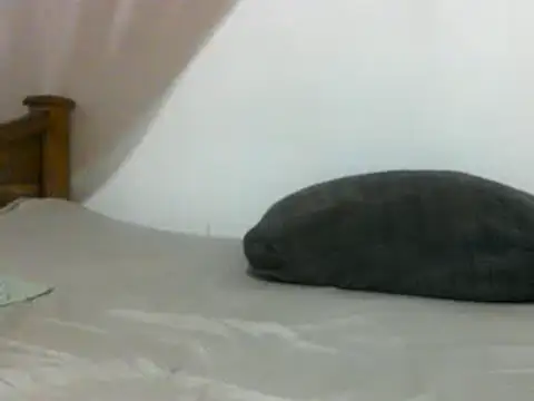 sissydinu online show from 02-28-25, 06:10