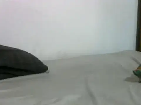 sissydinu online show from 03-17-25, 05:12