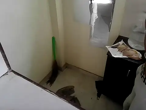 Snapshot of fitbuddy1 chatting on 09-11-25, 09:42 fitbuddy1 online show from 09-11-25, 09:42