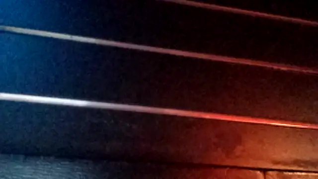 wetnwildforyou online show from 10-29-25, 04:37