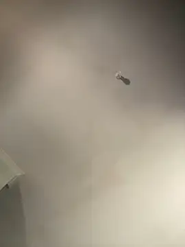 Snapshot of 1Zoey101 chatting on 02-02-26, 01:37 1Zoey101 online show from 02-02-26, 01:37