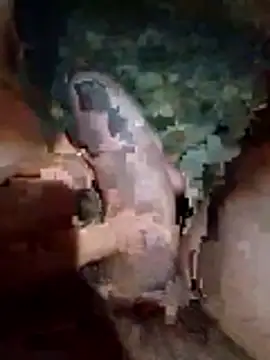 Snapshot of Luis_katya chatting on 02-10-26, 01:32 Luis katya online show from 02-10-26, 01:32