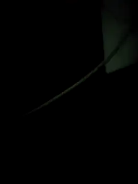 Snapshot of enoc369 chatting on 12-04-25, 08:12 enoc369 online show from 12-04-25, 08:12