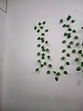 Neha-Bhabhi-Rasily online show from 11-07-25, 03:12