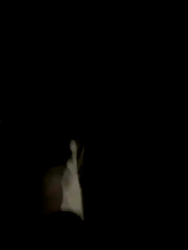 Dasul  online show from 10-11-25, 07:07