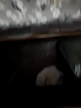 horniestboi online show from 04-20-26, 05:48