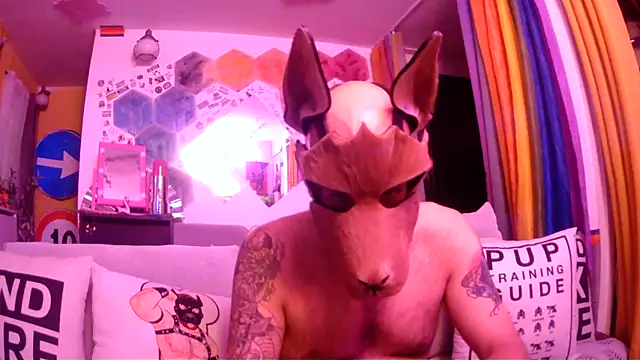 Snapshot of danix_wild_wolf chatting on 05-31-26, 11:06 danix wild wolf online show from 05-31-26, 11:06