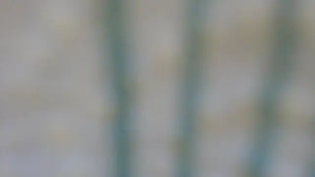 Snapshot of RobertaFox69 chatting on 12-06-24, 04:49 RobertaFox69 online show from 12-06-24, 04:49