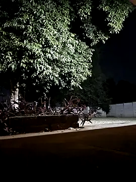 Snapshot of bakedsnackmmh chatting on 02-19-26, 09:33 bakedsnackmmh online show from 02-19-26, 09:33