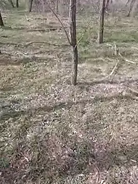 Snapshot of sile47 chatting on 03-11-25, 11:23 sile47 online show from 03-11-25, 11:23