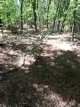 Snapshot of sile47 chatting on 09-13-25, 11:10 sile47 online show from 09-13-25, 11:10