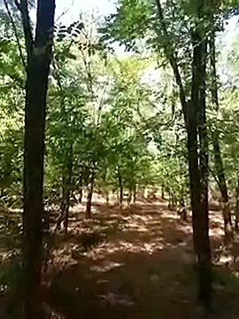 Snapshot of sile47 chatting on 09-16-25, 07:42 sile47 online show from 09-16-25, 07:42