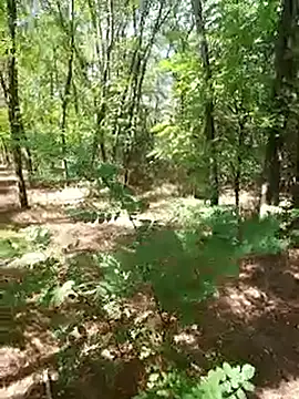 Snapshot of sile47 chatting on 09-21-25, 10:06 sile47 online show from 09-21-25, 10:06