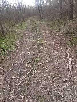 Snapshot of sile47 chatting on 03-16-26, 01:59 sile47 online show from 03-16-26, 01:59