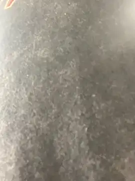 anthonyroth online show from 11-06-25, 08:54