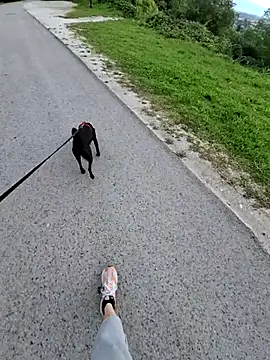 svenpfeifer online show from 09-16-25, 06:58