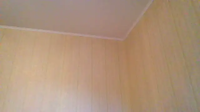  Black-Panther  online show from 06-11-26, 04:05