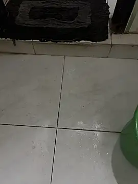 Snapshot of dilu98 chatting on 09-11-25, 12:33 dilu98 online show from 09-11-25, 12:33