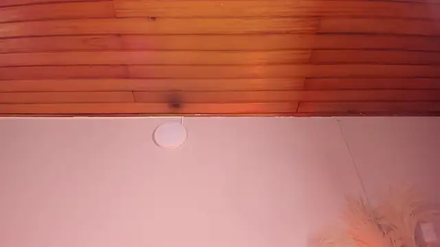 Snapshot of viol_collins__ chatting on 03-22-25, 12:14 viol collins   online show from 03-22-25, 12:14