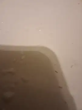 moasslicker online show from 10-21-25, 04:46