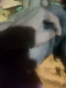 sshrichandra online show from 11-13-25, 08:08