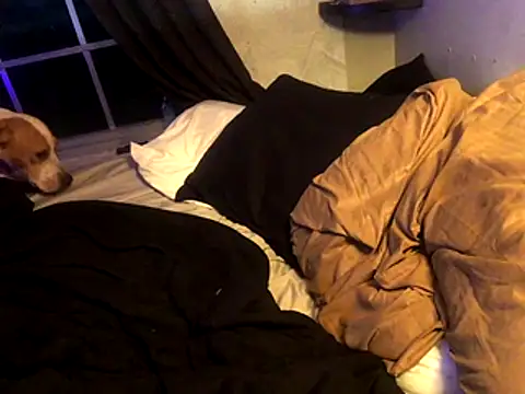 lilthicky352 online show from 12-01-25, 12:15