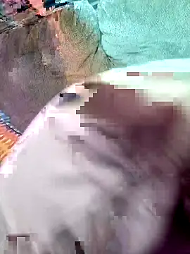 wowokthankyou online show from 03-03-26, 08:09