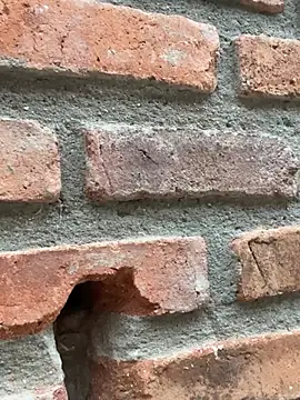 Jacksonfranco online show from 02-11-26, 10:59