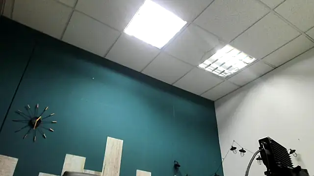 Snapshot of Ian1_ chatting on 11-22-25, 02:16 Ian1 online show from 11-22-25, 02:16