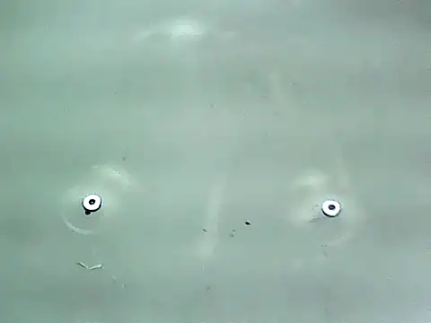 Snapshot of 20cmloiro chatting on 01-15-26, 12:59 20cmloiro online show from 01-15-26, 12:59