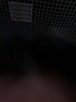 Snapshot of Liza_Will chatting on 02-20-26, 09:00 Liza Will online show from 02-20-26, 09:00