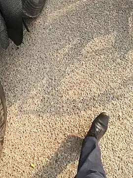 mysticeyes backup online show from 11-15-25, 03:37