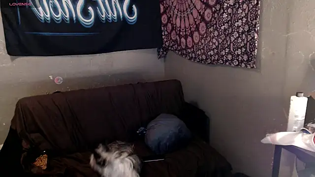 London Ray online show from 04-15-26, 09:15