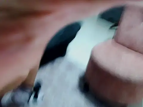 kata-gomez online show from 02-21-26, 03:40