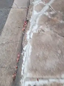 dickcurved38 online show from 02-20-26, 04:53