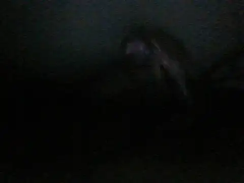 Snapshot of itachi_thebro1 chatting on 06-10-26, 04:12 itachi thebro1 online show from 06-10-26, 04:12